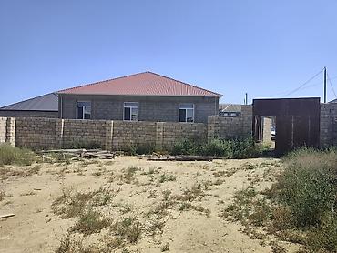 Tikinti