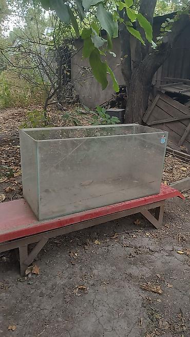 Два аквариума из стекла, прямоугольной формы. Цена за оба -