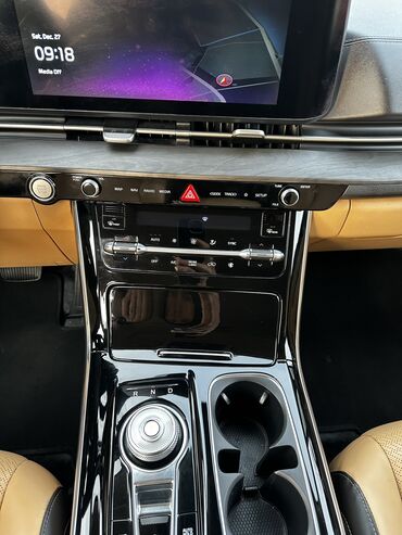 Kia: Kia Carnival: 2021 г., 2.2 л, Автомат, Дизель, Минивэн — 9