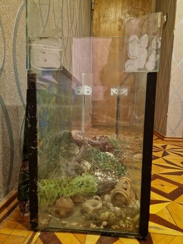 atman df 1300: Şüşə terrarium/akvarium - Material: qalın şüşə, metal/plastik künc