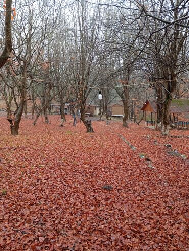 Restoran, kafelər: Masalli İsti su yaxin. 3 hektar ərazi 7 katej 6 bisetka. Tam islek -da lalafo.az — 20 Restoran, kafelər: Masalli İsti su yaxin. 3 hektar ərazi 7 katej 6 bisetka. Tam islek — 20