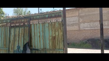 рыба живая: Дарбаза Токмок состояние супер толька пакрасит надомести