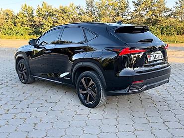 lexus cs: Lexus NX: 2020 г., 2.5 л, Автомат, Гибрид, Кроссовер — 4