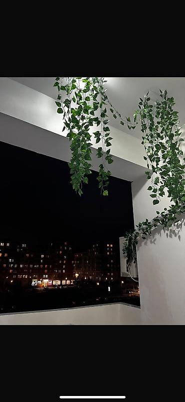 gence ev elanlari: 3 otaqlı, Yeni tikili, 4 kv. m — 9