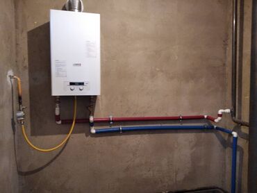 Газовые котлы: Протерм Рысь 9-24-28 квт Protherm Lynx 9 квт - 28 квт Газовый — 20