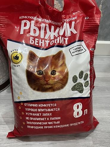 лежанка: Набор для кошки/кота — все необходимое для дома. Цена за весь набор — 10