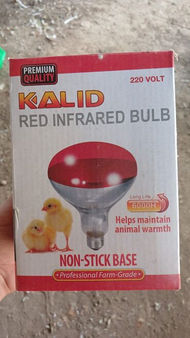 Tikinti daşları: Yeni, İnfraqırmızı lampa