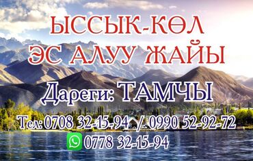 отдых на иссык куль недорого: Номер, Тамчы