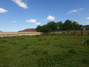 Torpaq sahələrinin satışı: 15 sot, Kənd təsərrüfatı, Mülkiyyətçi, Kupça (Çıxarış) — 37