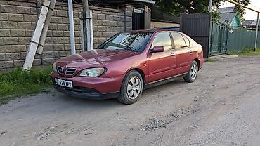 nisa: Nissan Primera: 2000 г., 2 л, Вариатор, Бензин, Лифтбек — 2