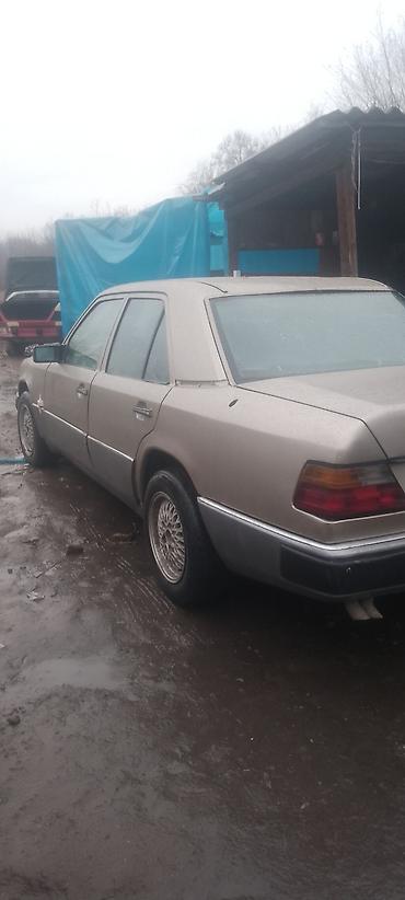 Mercedes-Benz: Mercedes-Benz W124: 1992 г., 2.9 л, Автомат, Дизель, Седан — 6