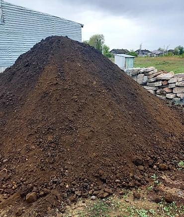 Грунт, чернозем: Чернозём плодородный для огорода, газона и ландшафта. Характеристики — 7