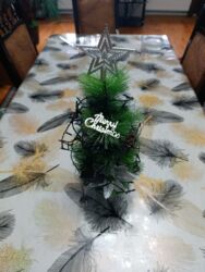 Çöl bitkiləri: Yeni il Yolkasi. Təzə Stol ustu. Boy 50 sm. İsiqli. Sekili Cevirin