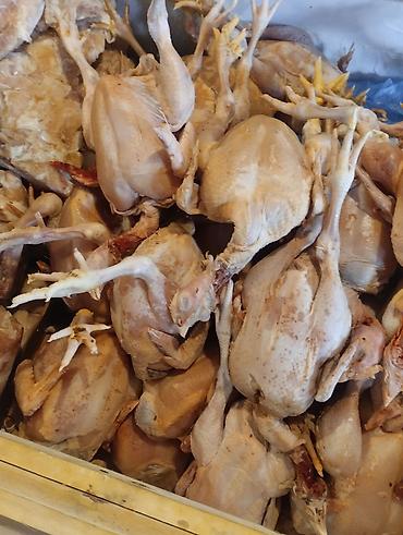 лаваш оптом купить: КУПЛЮ ОПТОМ ТУШКИ БРОЙЛЕРОВ с головой и лапкоми без внутренности от — 2