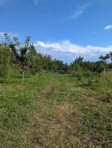 жаны уйлор: 🏡 СРОЧНО ПРОДАЕТСЯ УЧАСТОК С ДОМОМ! Участок в Долинке, Иссык-Куль — 5