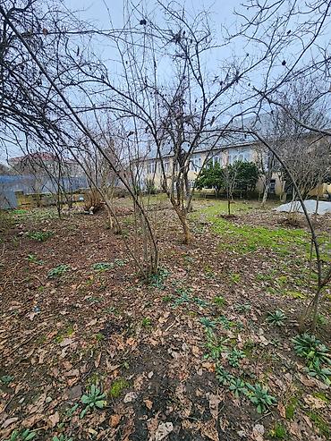 Həyət evləri və villaların satışı: 6 otaqlı, 140 kv. m, Kredit yoxdur, Orta təmir — 23