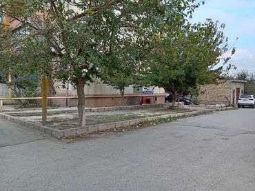 недвижимость в баку купить: Sumqayıt Hacı Zeynalabdin 📍 Nasosnu qəsəbəsində obyekt satılır Nanəli