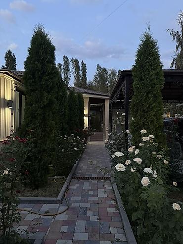 баня кател: 200 м², 6 комнат и более — 6