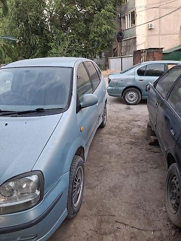 алмеро тино: Крыло Переднее правое Nissan, Б/у, Оригинал — 2