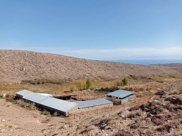 Продажа участков: 1800 соток, Для бизнеса, Красная книга at lalafo.kg — 2 Продажа участков: 1800 соток, Для бизнеса, Красная книга — 2