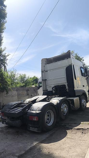 e6 3: Тягач, DAF, 2020 г., Без прицепа — 3