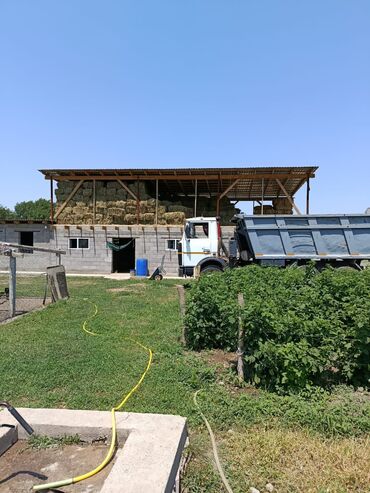 Кабины: Кабина МАЗ Оригинал — 10