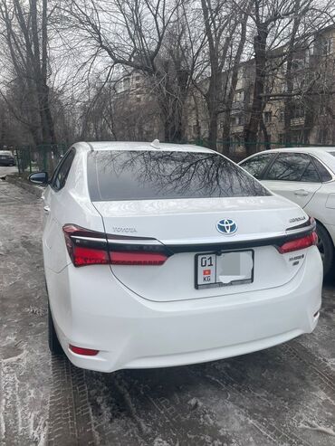 hybrid: Toyota Corolla: 2019 г., 1.8 л, Вариатор, Гибрид, Седан