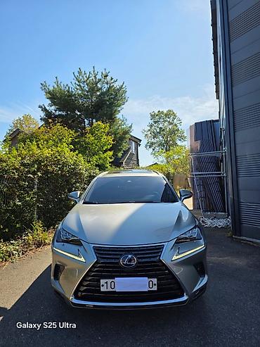 lexus lx 570 2019: Lexus NX: 2020 г., Гибрид, Кроссовер — 1