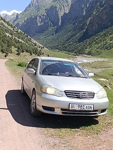 levin corolla: Toyota Corolla: 2003 г., 1.8 л, Автомат, Бензин, Седан — 3