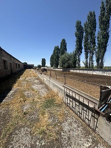 оптовый товар: Farm КРС, 130 соток — 8