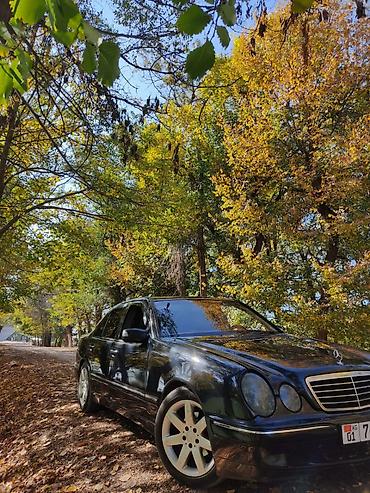 Mercedes-Benz E-класс AMG: 2002 г., 2.8 л, Автомат, Бензин, Седан at lalafo.kg Mercedes-Benz E-класс AMG: 2002 г., 2.8 л, Автомат, Бензин, Седан