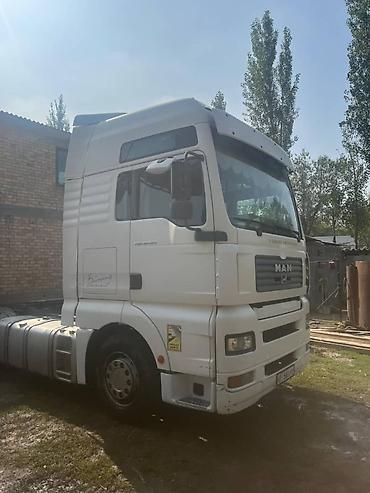 Тягачи: Тягач, MAN, 2004 г., Холодильник, рефрижератор — 1