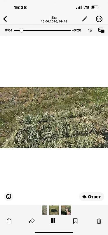 Корма для с/х животных: Сено в тюках - Тип: луговое сено, прессованные прямоугольные тюки. - — 3