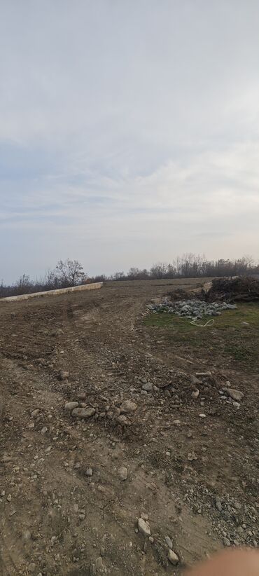 Torpaq sahələrinin satışı: 11 sot, Tikinti, Mülkiyyətçi, Kupça (Çıxarış) — 5