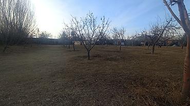 Продажа участков: 25 соток — 20