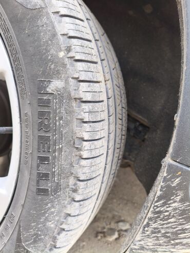 пирелли: Шины 255 / 50 / R 19, Комплект, Легковые, Италия, Pirelli