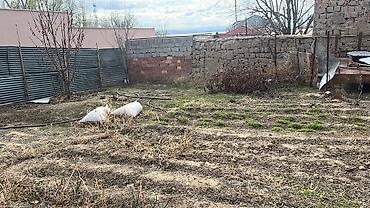 Həyət evi alıram: 103 kv. m, 2 otaqlı — 37