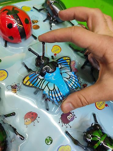 Игрушки: Насекомые игрушки заводные в комплекте для детей🐝 Комплектация at lalafo.kg — 15 Игрушки: Насекомые игрушки заводные в комплекте для детей🐝 Комплектация — 15