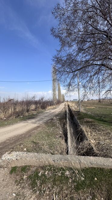 продается особняк: 400 соток, Для сельского хозяйства