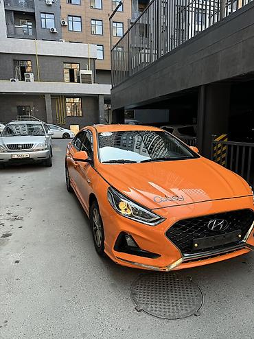 нехся 2: Hyundai Sonata: 2020 г., 2 л, Автомат, Газ, Седан — 2