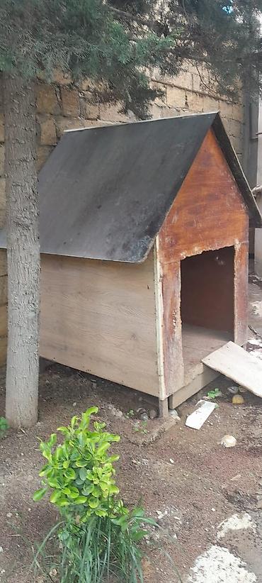 it ucun qefes: Açıq havada istifadə üçün taxta it evi - Material: qalın taxta — 1