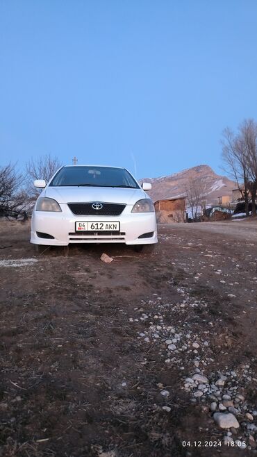 Toyota: Toyota Allex: 2003 г., 1.5 л, Автомат, Бензин, Хэтчбэк — 4