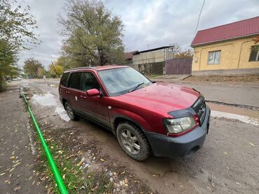 Subaru: Subaru Forester: 2002 г., 2 л, Автомат, Бензин, Универсал