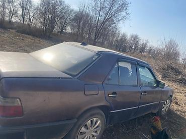 Mercedes-Benz: Mercedes-Benz E-Class: 1989 г., 2.3 л, Ручные, Дизель, Седан — 4