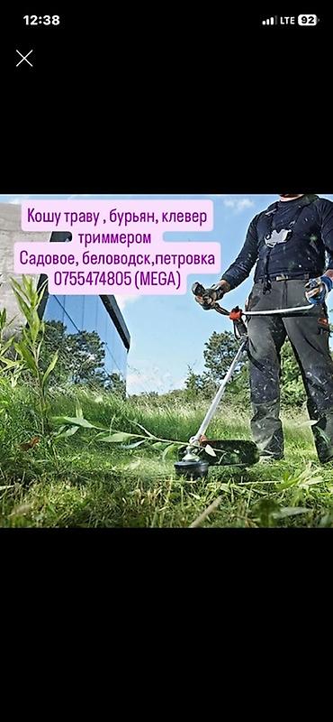 сена резать: Уборка территории, Стрижка газона — 1