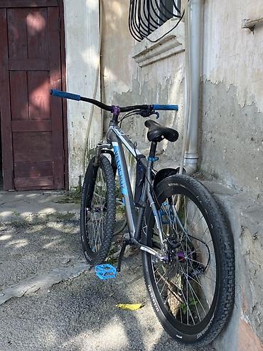 İdman velosipedləri: Velocruz dağ velosipedi - Çərçivə: Alüminium Velocruz, gümüş/mavi — 4