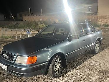 Audi: Audi 100: 1992 г., 2.3 л, Кол менен иштөөчү, Бензин, Седан — 2