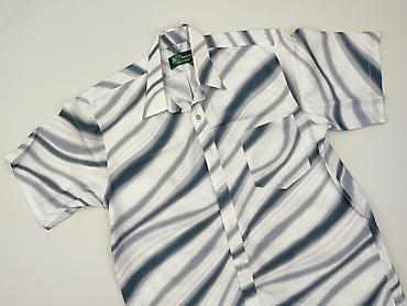 buty olive tree: Koszulа dla mężczyzn, rozmiar S — 1