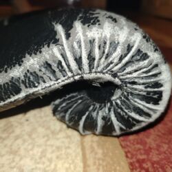 Boks aparatları: Boks ləçəkləri everlast orijinaldir satılır heç bir ciriqi sokuyu — 26