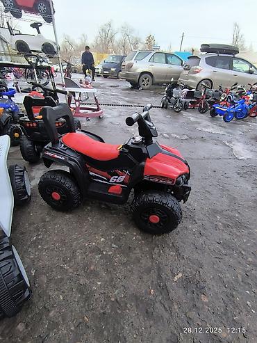 Толокары: Детские машинки-каталки/квадроциклы аккумуляторные цены разные - Тип — 10